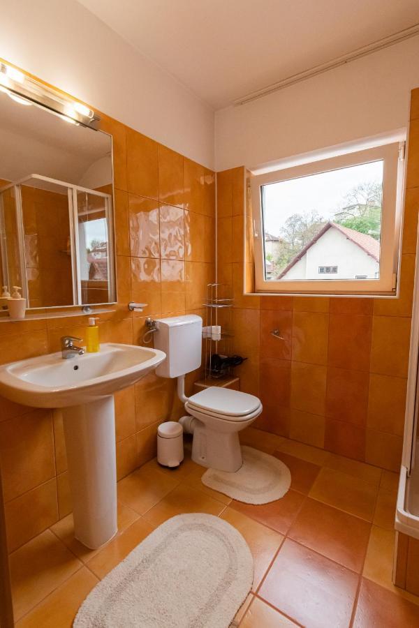 Residence 48 Beautiful Building Within Moments From The Old Town Of Brasov Exterior photo